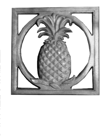 Thumbnail for pineapple-sq-border-single-face